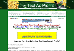 Text Ad Profits